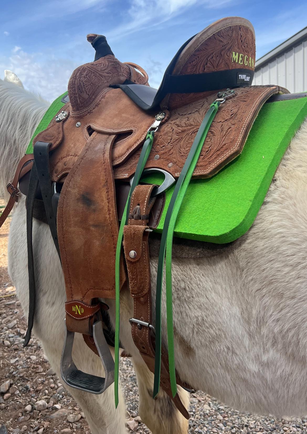 Green Latigo Saddle Strings (Pair)