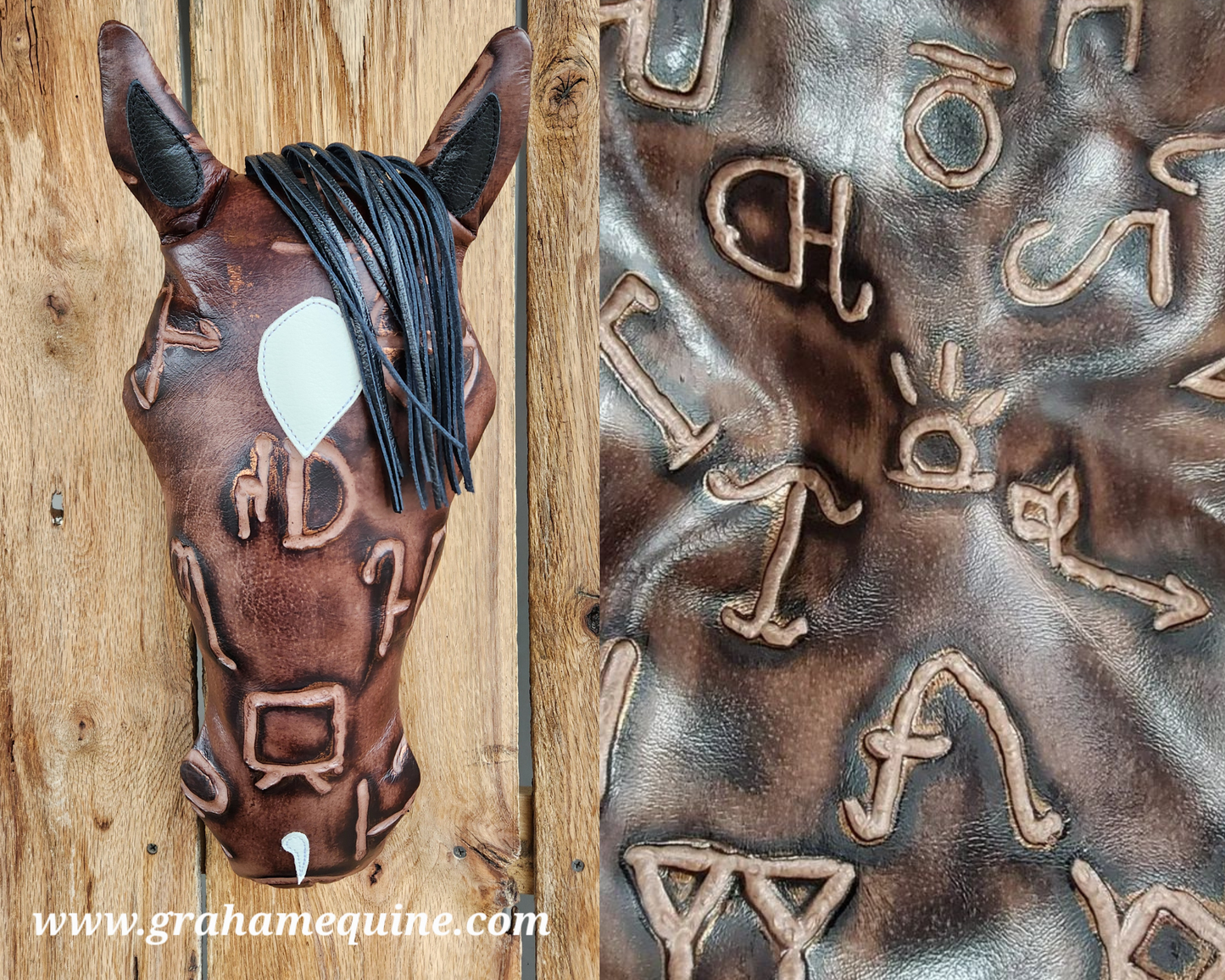 Custom Pillow Pony